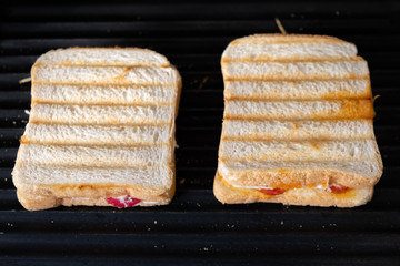 Toasts with tomato and cheese on the plate