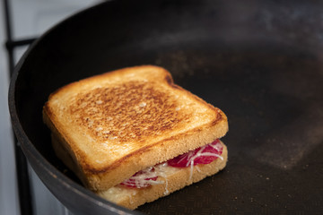 Toasts with tomato and cheese on the plate
