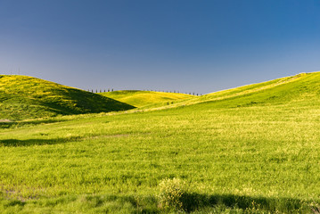 Fototapeta premium Lands of Tuscany in the Province of Siena Italy