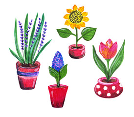 Set of beautiful red flower pots with flowers. Sunflower, lavender, tulip, crocus. Hand drawn colorful gardening illustration.
