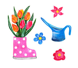 Set of gardening illustrations. Polka dot gumboot filled with a bouquet of beautiful tulips and blue wataring pot. Bright spring red, pink and yellow bulbous flowers.
