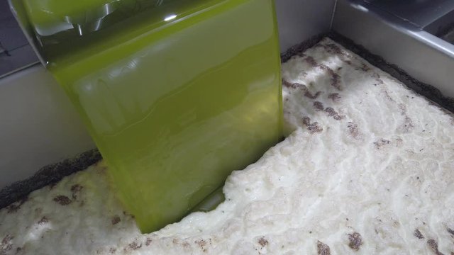 Fresh Virgin Olive Oil falling in recipient at a local Press.