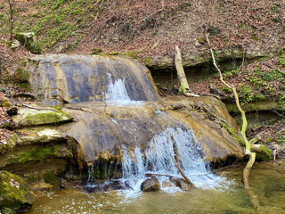 Waterfalls and cascades on the Erlenbach creek and in the Erlenbacher-Tobel ravine during early...