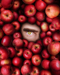 Human eye surrounded by red apples