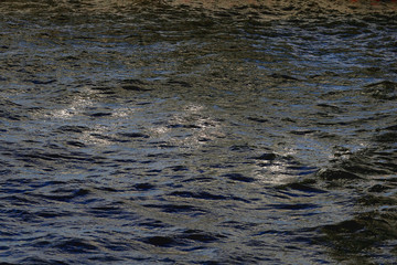 Water surface in the light of the setting sun