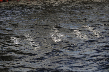 Water surface in the light of the setting sun