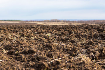 Field plowed, sown cereals. Plowed field in spring day. Black soil plowed field. Plowed field in the blue sky