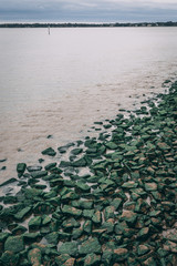green moss rocks on side of lake river