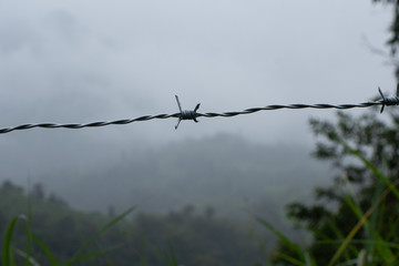 barbed wire fence