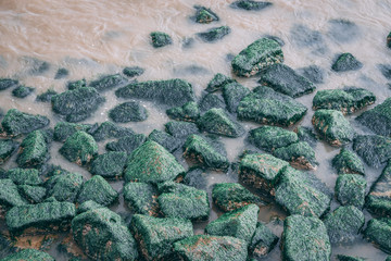 green moss rocks on side of lake river