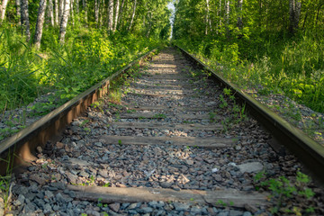 railway in the woods
