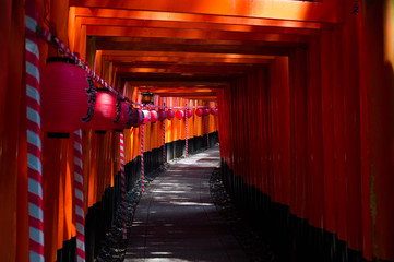 Fototapeta premium japanese temple in kyoto japan