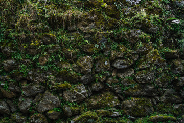 Wall of rocks covered by moss