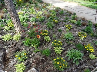 Barcelona is a stunning city in Spain