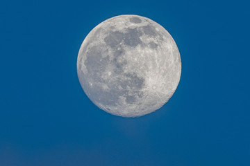Full moon photographed on an early spring evening.
