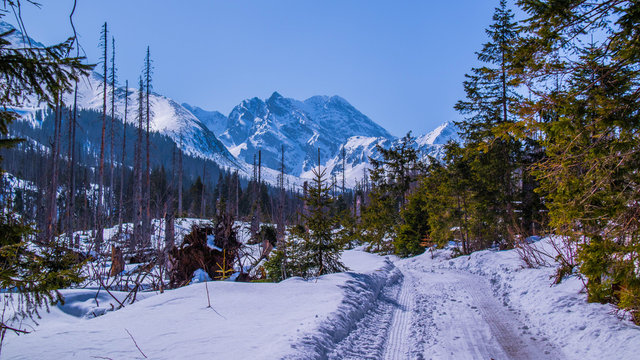 Tatry zimą - Dolna Gąsienicowa