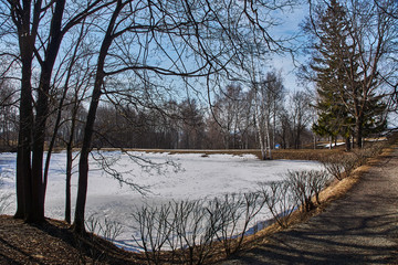 Park landscape with a pond.Spring landscape in the park of the estate of the Pushkin family....