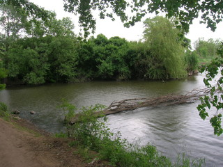 krajobrazy jeziora Ukraina