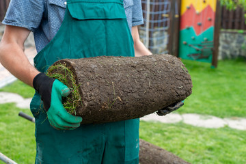 Natural Grass Turf Professional Installer. Gardener Installing Natural Grass Turfs Creating...