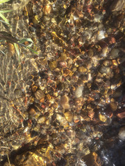 sea ​​pebbles in defocus blurred background of stones in water for design background
