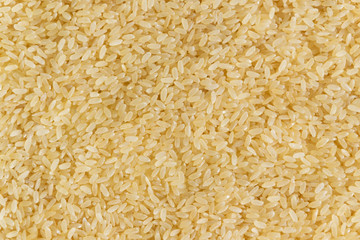 Biological brown rice background, whole grain uncooked cereal ingredient