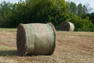 roll of natural grass field France Europe