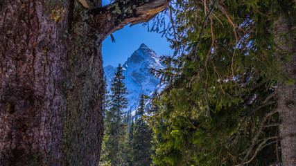 Fototapeta premium TATRY - Hala Gasiecowa -Kośclec