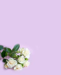 bouquet of white roses with background
