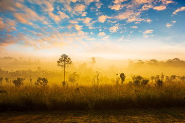 Thung Salaeng Luang National Park Beautiful green hills glowing warm sunrise,Dramatic shine silhouette tree colorful warm above mountain at Phetchabun Province,Thailand