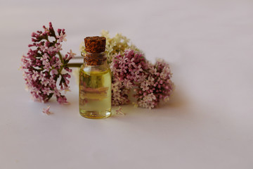 Calf oil; Valeriana officinalis