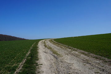Fototapeta na wymiar Ein Feldweg, Wanderweg oder Radweg in der Nähe von Delligsen an einem sonnigen Tag im Frühling