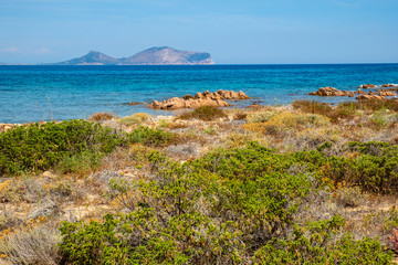 Marine Protected Area natural reserve with seashore rocks of Isola Tavolara island on Tyrrhenian...