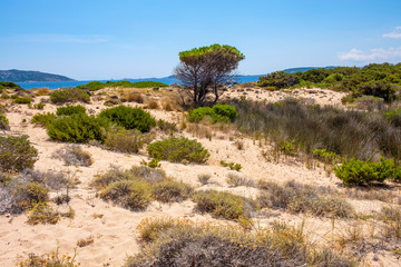 Panoramic view of Spalmatore di Terra peninsula of Marine Protected Area natural reserve with...