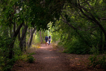 Obraz premium girl with a guy hold hands and go away along the alley in the park