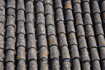 close up of old roof tiles with moss