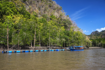 Fototapeta na wymiar Langkawi island Mangrove tour. Landscapes and views of Andaman sea. Vacation and holidays in Malays