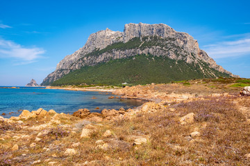 Panoramic view of cliffs and slopes of main limestone massif, Monte Cannone peak, of Isola Tavolara...
