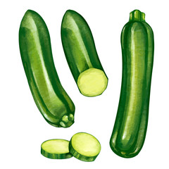 ズッキーニ　イラストセット