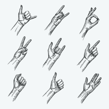 Hand-drawn sketch set of Hand Signs And Gestures. Rock N’ Roll, Call Me, Ok Hand Sign, Peace Hand Sign, Love-You Gesture, Finger Gun Sign, Live Long And Prosper, Thumbs Up/Like , Left-Facing Fist 