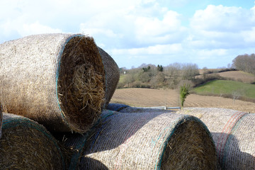 Strohrundballen lagern in der Landschaft