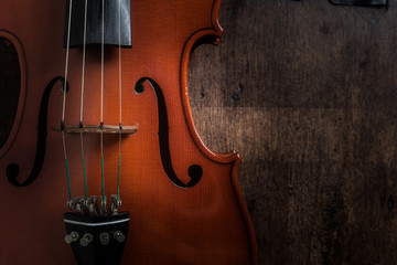 violin bridge detail with strings