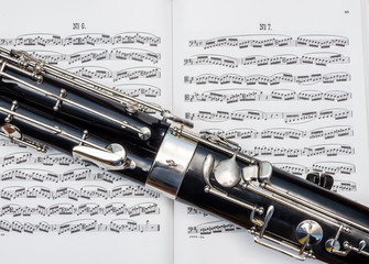 Obraz premium Cropped photo of bassoon over the notes