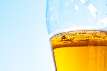 Light beer in a glass goblet on a background of blue sky. Beer foam on the walls of a glass in the sunlight.