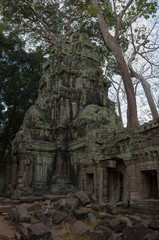 Fototapeta na wymiar Ruins of Ta Prohm Temple at Angkor Wat in Cambodia