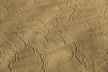 closeup of sand pattern of a beach in the summer use for background