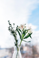 White alstroemeria with eucalyptus branch flower in the small bottle