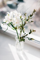 Naklejka na ściany i meble White alstroemeria with eucalyptus branch flower in the small bottle