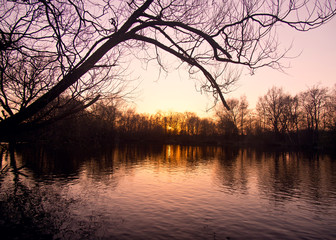 Boggart Hole Clough 2