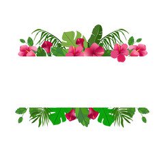 Hibiscus flowers and tropical leaves.