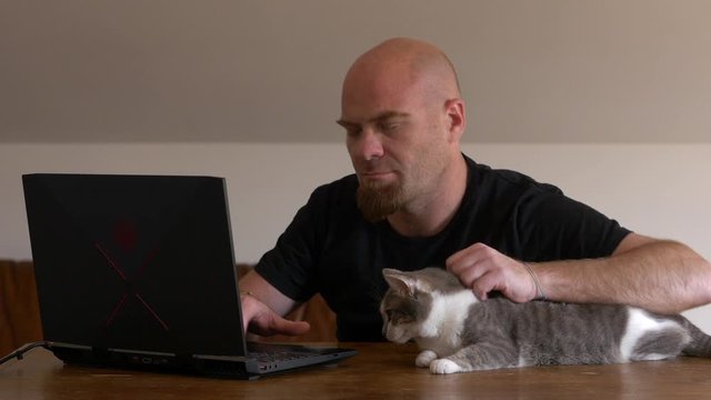 Smart working - young attractive man typing in computer petting his cat